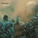 Steely Dan--'Daddy Don't Live In That New York City No More'